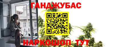 сатива Кулебаки