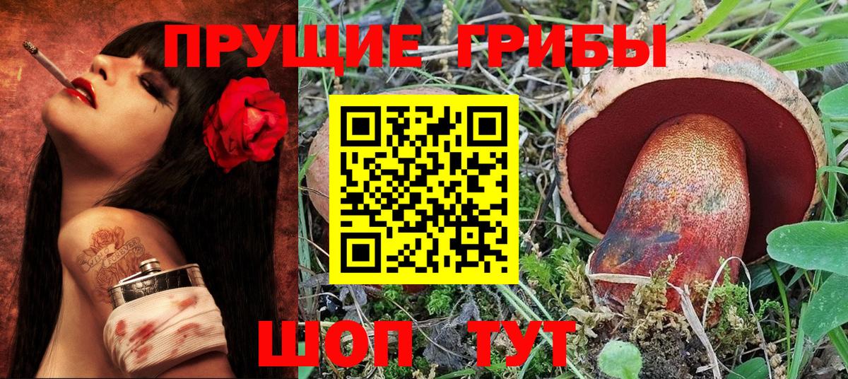 Донской  Псилоцибиновые грибы Psilocybine cubensis  Галлюциногенные грибы GOLDEN TEACHER  Вход с VPN 